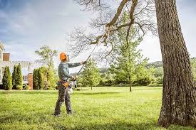 Best Lawn Disease Treatment  in Clarkston Heights Vineland, WA
